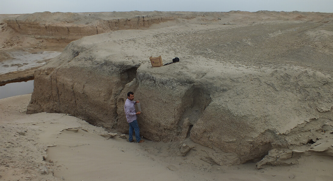 Soil Section in the Mesopotamian floodplain. Photo: Jaafar Jotheri